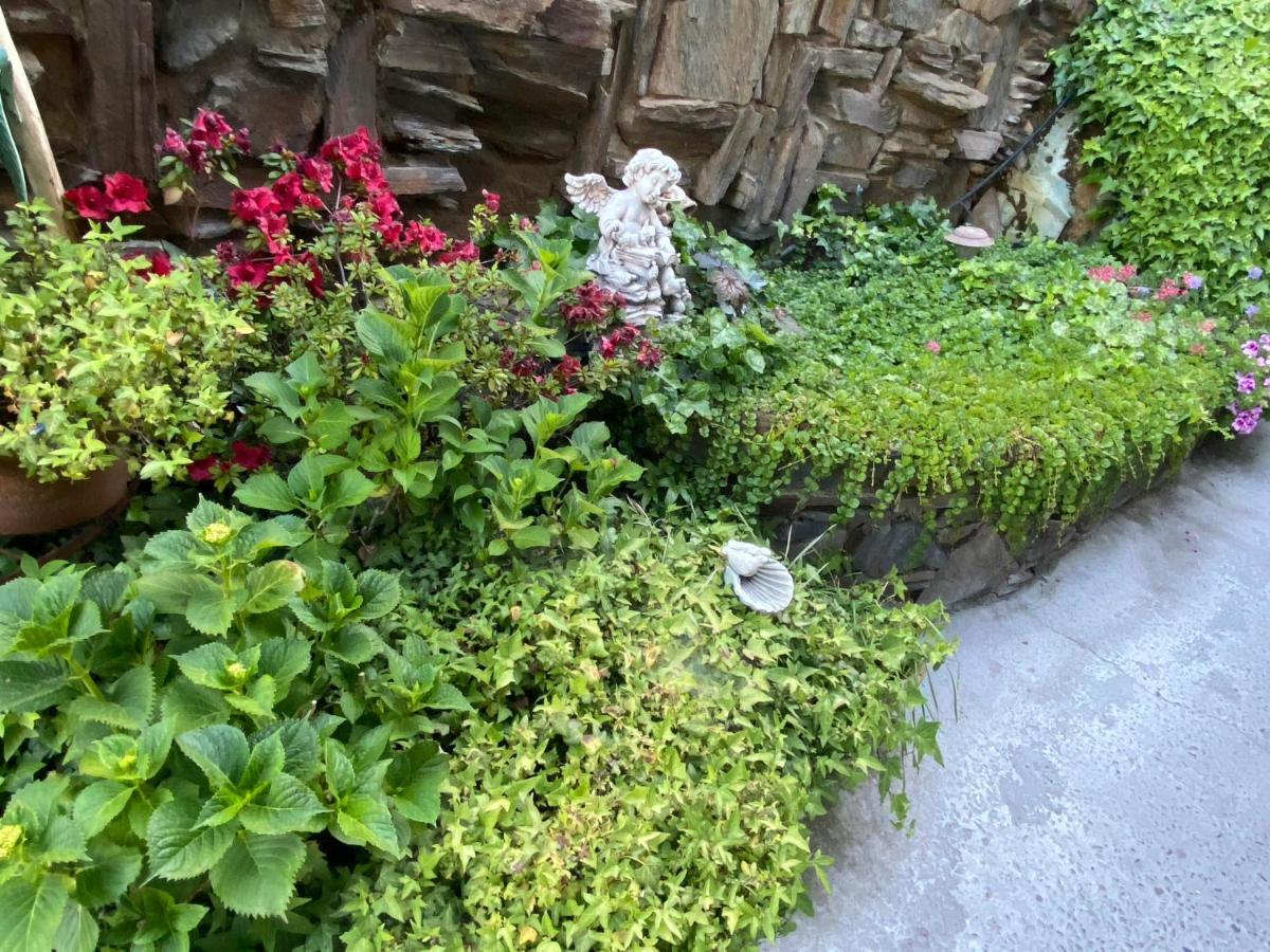 سونورا Gunn House Hotel المظهر الخارجي الصورة