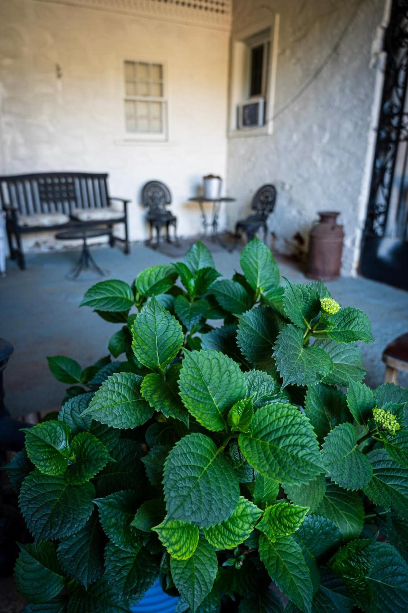 سونورا Gunn House Hotel المظهر الخارجي الصورة
